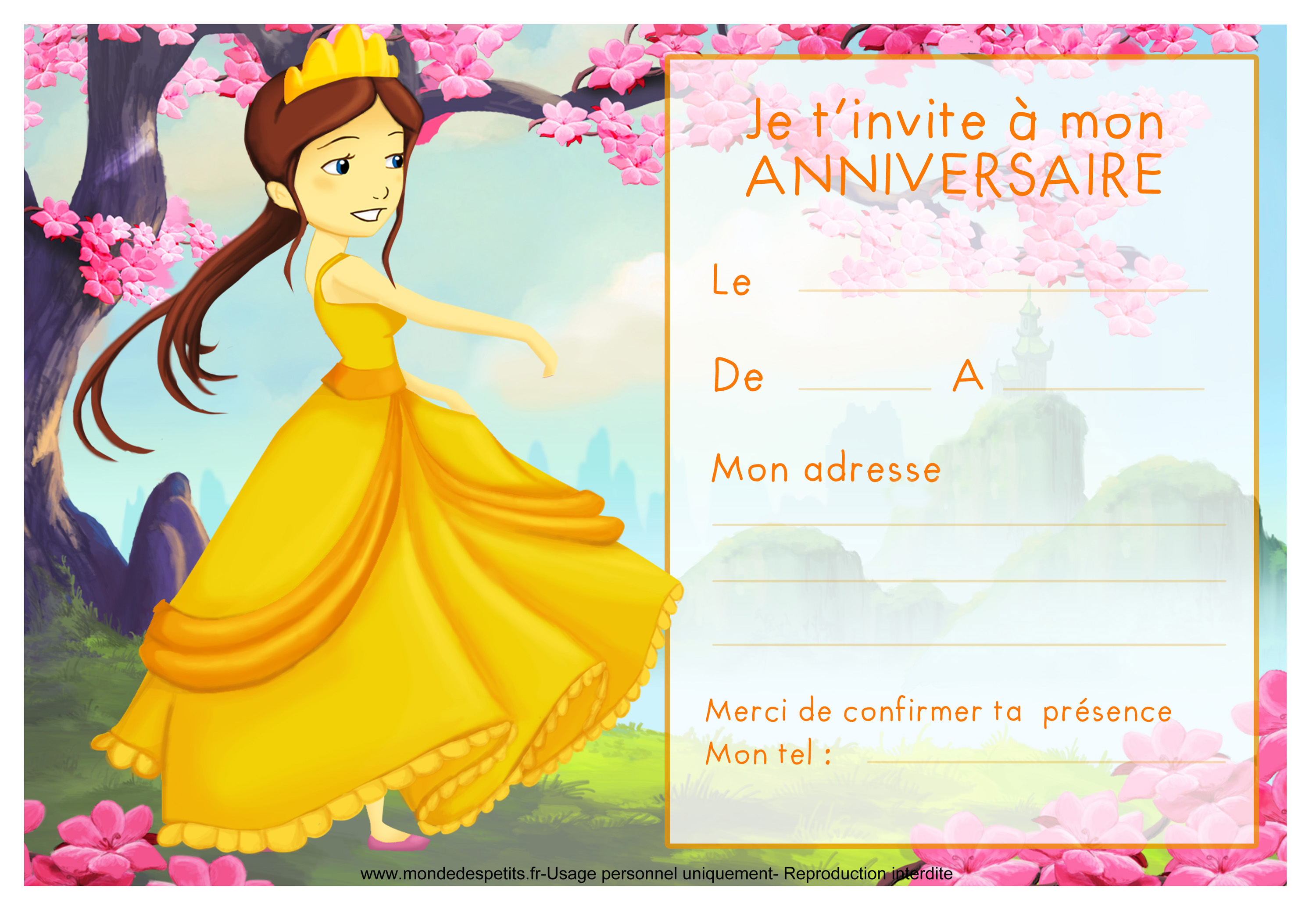 Cartes d'invitation princesse pour anniversaire enfant