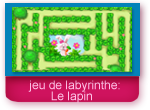 jeu de labyrinthe: le lapin